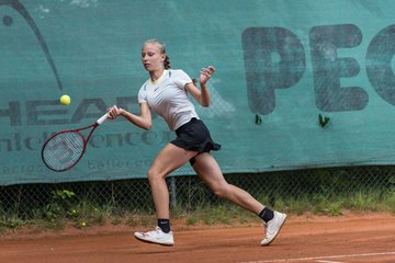 Isabella Abendroth 373 - Klippeldon